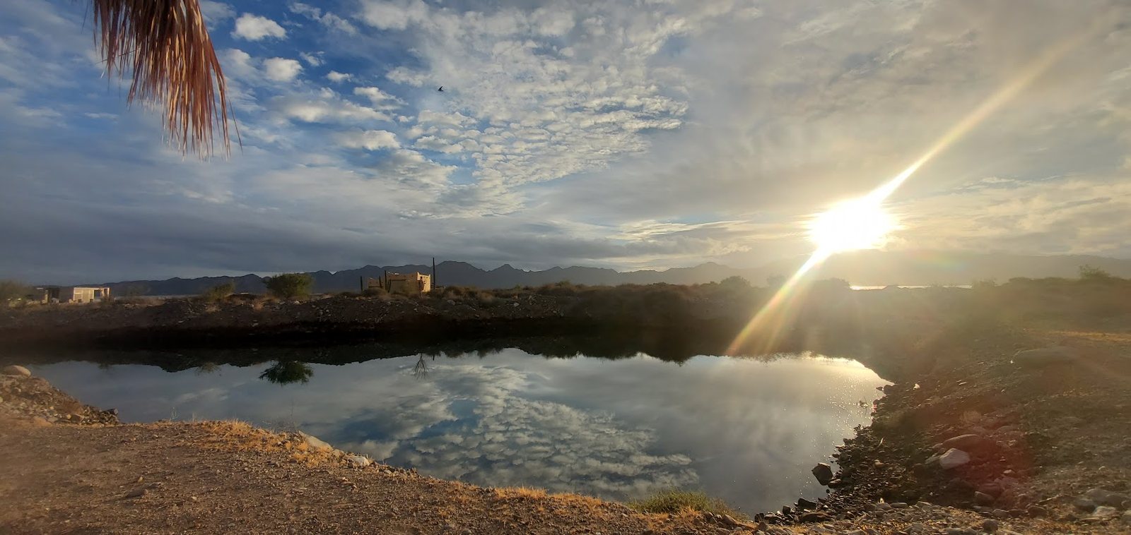 Still water reflecting cloud and low sun, Mulege