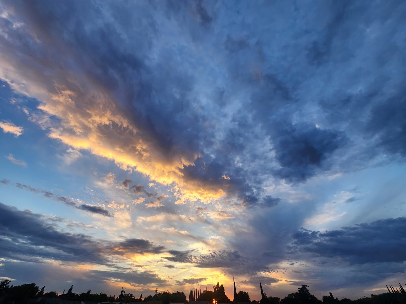 Cloud and last light over a line of cypress